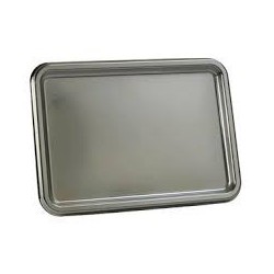 TRAY RECTANGLE 465 x 252 mm - SILVER - 3