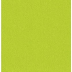 Cocktail towel GREEN ANIS in disposable paper 20 x 20 cm 2 thickness double point- the bag of 100