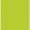 Cocktail towel GREEN ANIS in disposable paper 20 x 20 cm 2 thickness double point- the bag of 100