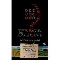 Terroir de Lagrave COTES DU TARN Vino Blanco VDP Fuente de Vino BIB 5 L