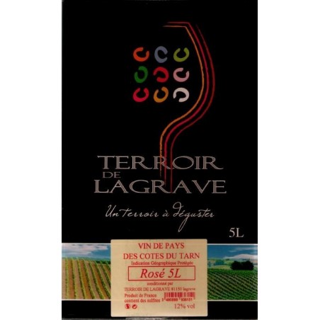 Terroir de Lagrave COTES DE TARN Vino rosado Fuente de vino VDP BIB 5 L