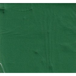 TOALLA FIR VERDE bolsa de papel desechable 38 x 38 cm Sun Ouate - la bolsa de 40