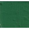 Asciugamano da cucina verde sacchetto di carta monouso 38 x 38 cm Sun Ouate - il sacchetto di 40