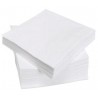 WHITE TOWEL in disposable paper 38 x 38 cm 2-ply - the bag of 100