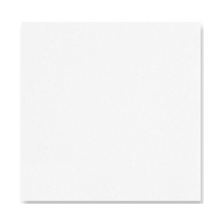 WHITE TOWEL in disposable paper 40 x 40 cm non-woven - the bag of 50