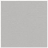 GRAY SILVER TOWEL in disposable paper 40 x 40 cm non-woven - the bag of 50