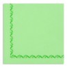 ANIS GREEN TOWEL with disposable paper pad Sun Ouate 38x38 - the bag of 50