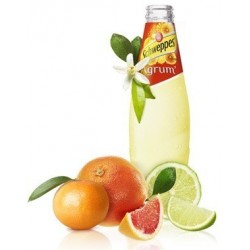 SCHWEPPES Agrum 24 bottles of 25 cl in returnable glass (deposit of 5.50 € included in the price)