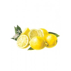 Jarabe Pulpa de limón Sin azúcar Bigallet 1 L