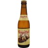 Bier KAPITTEL WATOU Blondes Belgien 6,5 ° 33 cl