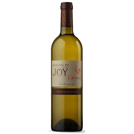 Ode to Joy Domaine de Joÿ GASCOGNE White Wine Semi-dry IGP 75 cl