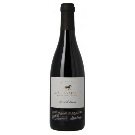 I Chevallerie SAINT NICOLAS DE BOURGUEIL Terroir Vino Rosso AOP 50 cl
