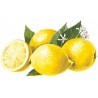 SIRUP von süßer Zitrone Bigallet 1 L