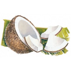 Sciroppo di cocco Bigallet 1 L