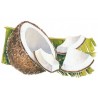 Sciroppo di cocco Bigallet 1 L