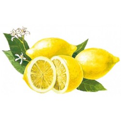 Sirop de citron Jinot Bigallet 1 L