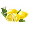 Syrup of lemon Jinot Bigallet 1 L