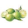 Sirop de citron vert Bigallet 1 L