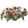 SYRUP of wild strawberry Bigallet 1 L