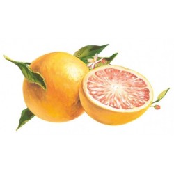 Grapefruitsirup-Fruchtfleisch Zuckerfreies Bigallet 1 L.