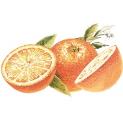SIROP d'Orange Sanguine Pulpes Sans sucre Bigallet 1 L