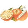 SIROP d'Orange Sanguine Pulpes Sans sucre Bigallet 1 L