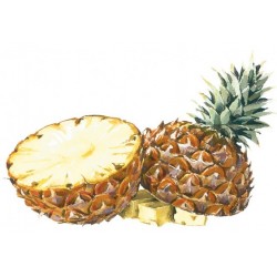 SCIROPPO Ananas Bigallet 1 L