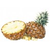 Pineapple SYRUP Bigallet 1 L