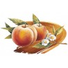 Bigallet Peach Tea SYRUP 1 L