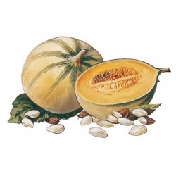 Bigallet Melone SCIROPPO 1 L