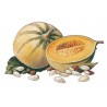 SIROP de Melon Bigallet 1 L