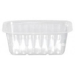 Translucent TRAY sealable and microwaveable 500 cc - the 100