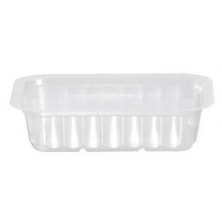 Translucent TRAY sealable and microwaveable 250 cc - the 100