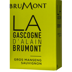 Domaine Brumont GASCOGNE Trockener Weißwein Gros Manseng - Sauvignon IGP-Brunnen à nin BIB 5 L