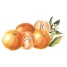 Bigallet Mandarin Syrup 1 L