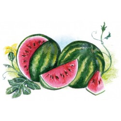 Bigallet Watermelon SYRUP 1 L