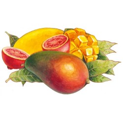 SYRUP Mango - Guava Bigallet 1 L