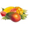 SIRUP Mango - Guave Bigallet 1 L
