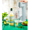 SIROP Mojito Citron vert et Menthe Pulpes Sans sucre Bigallet 1 L